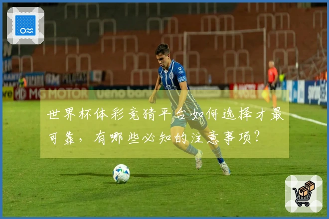 世界杯体彩竞猜平台如何选择才最可靠，有哪些必知的注意事项？