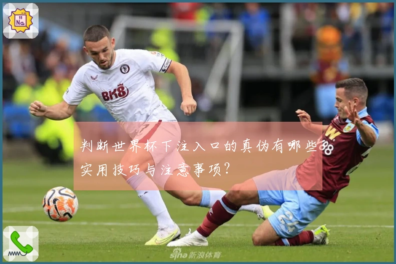 判断世界杯下注入口的真伪有哪些实用技巧与注意事项？