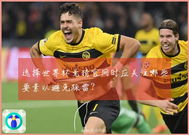 选择世界杯竞猜官网时应关注哪些要素以避免踩雷？