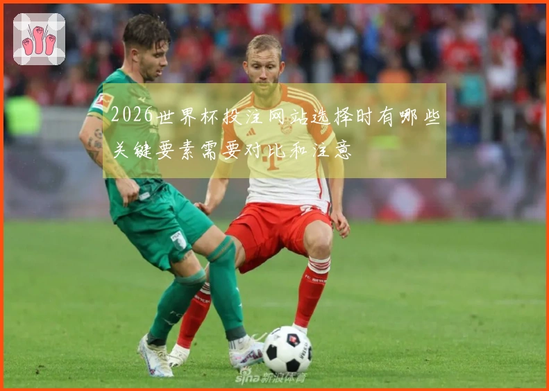 2026世界杯投注网站选择时有哪些关键要素需要对比和注意