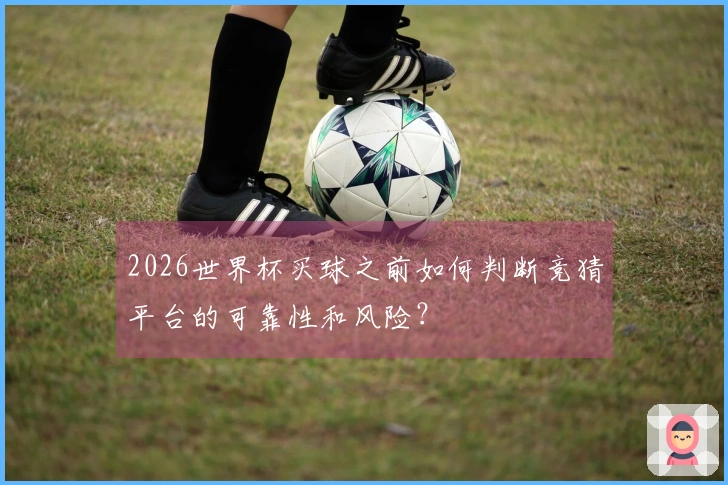 2026世界杯买球之前如何判断竞猜平台的可靠性和风险？