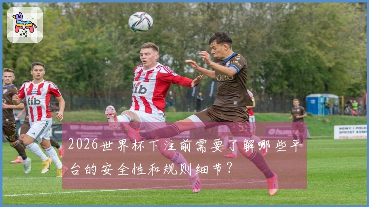 2026世界杯下注前需要了解哪些平台的安全性和规则细节？