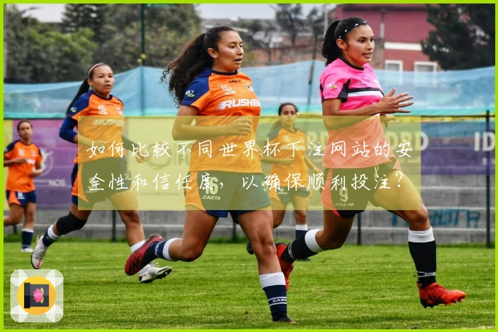 如何比较不同世界杯下注网站的安全性和信任度,以确保顺利投注?