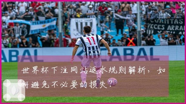 世界杯下注网站返水规则解析，如何避免不必要的损失？