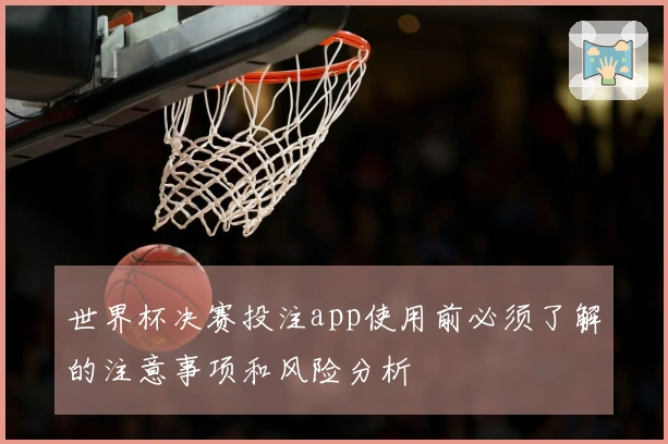 世界杯决赛投注app使用前必须了解的注意事项和风险分析
