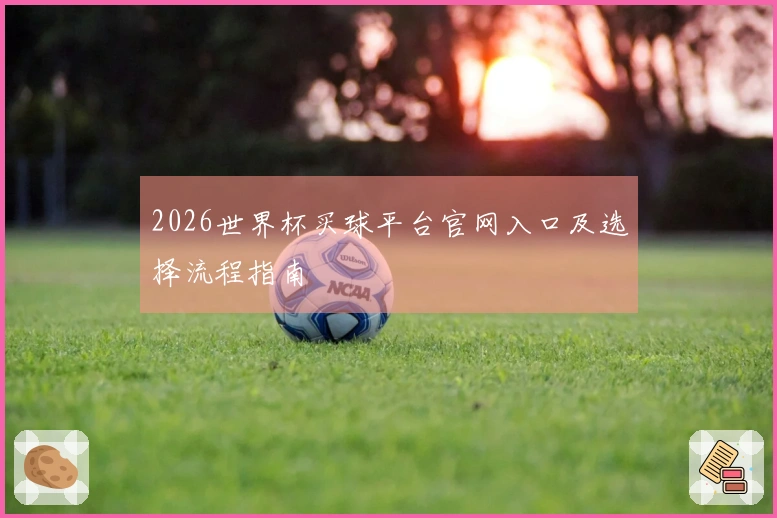 2026世界杯买球平台官网入口及选择流程指南