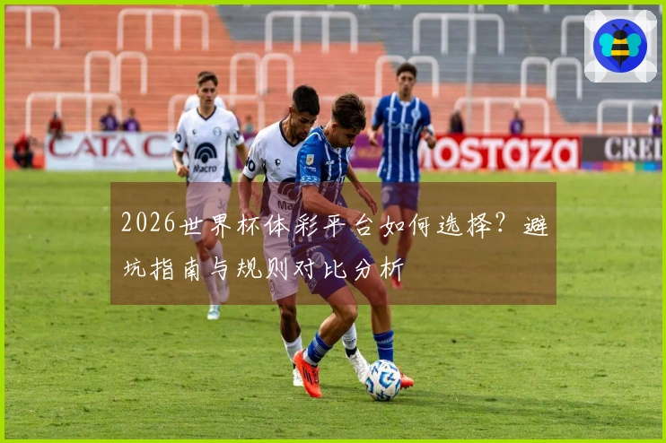 2026世界杯体彩平台如何选择？避坑指南与规则对比分析