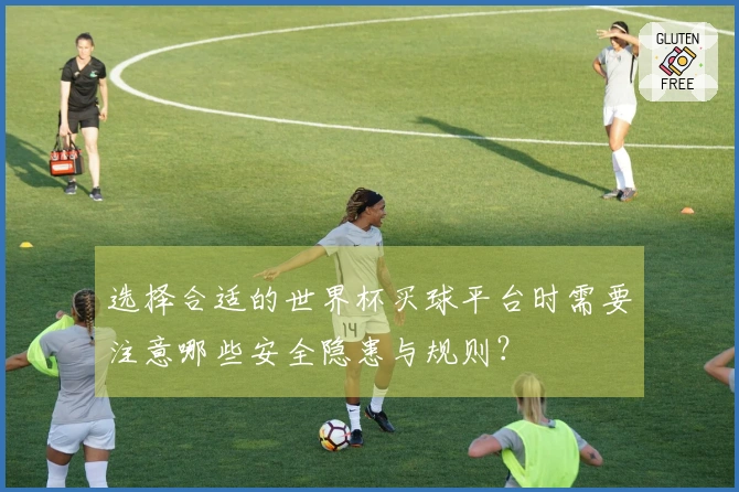 选择合适的世界杯买球平台时需要注意哪些安全隐患与规则?