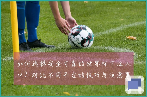 如何选择安全可靠的世界杯下注入口？对比不同平台的技巧与注意事项