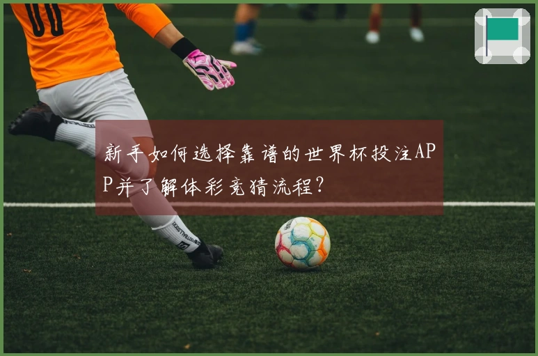 新手如何选择靠谱的世界杯投注APP并了解体彩竞猜流程？