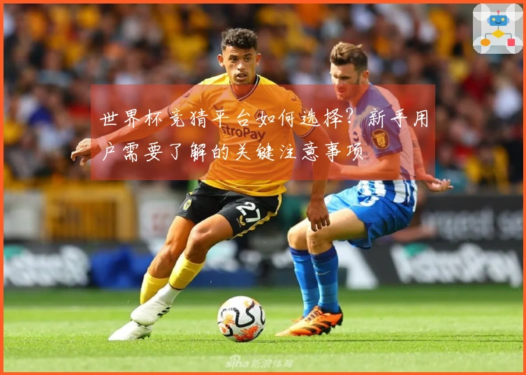世界杯竞猜平台如何选择?新手用户需要了解的关键注意事项