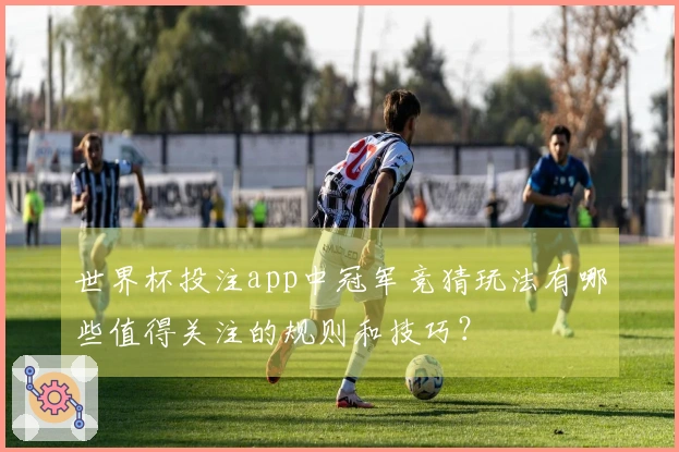 世界杯投注app中冠军竞猜玩法有哪些值得关注的规则和技巧？