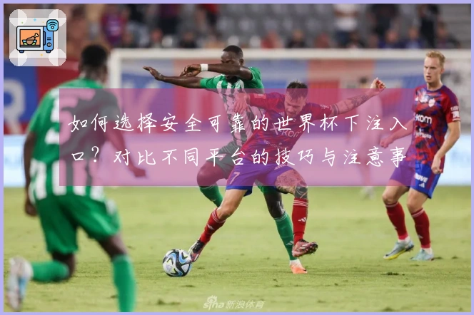 如何选择安全可靠的世界杯下注入口？对比不同平台的技巧与注意事项