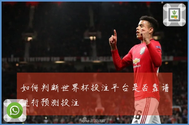 如何判断世界杯投注平台是否靠谱进行预测投注