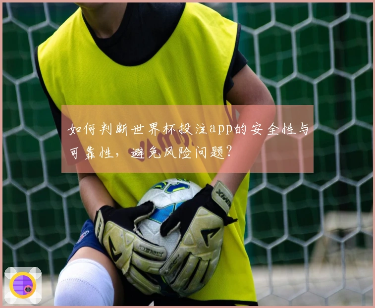 如何判断世界杯投注app的安全性与可靠性，避免风险问题？