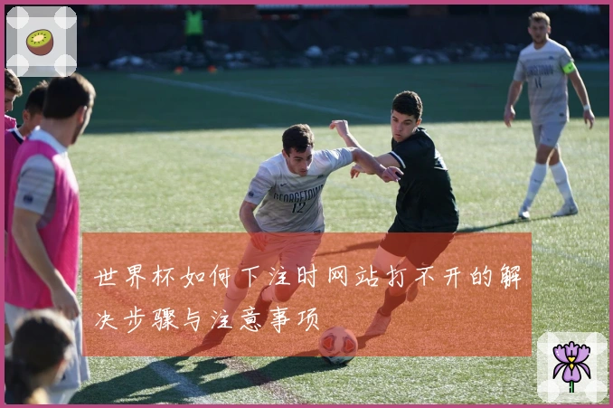 世界杯如何下注时网站打不开的解决步骤与注意事项