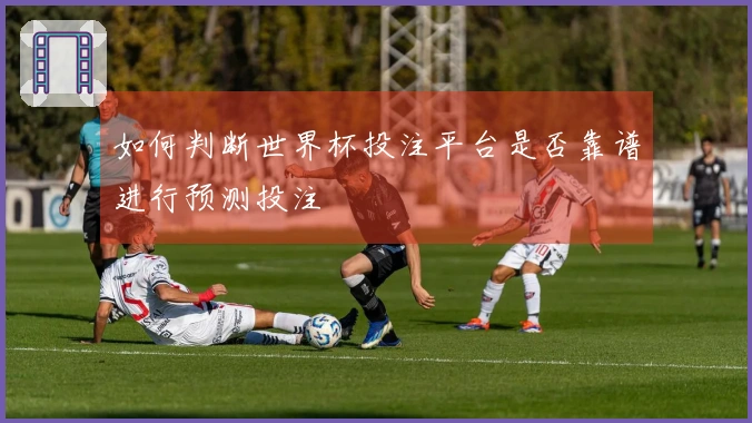如何判断世界杯投注平台是否靠谱进行预测投注