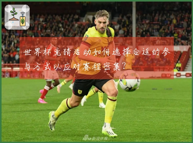 世界杯竞猜活动如何选择合适的参与方式以应对赛程密集？